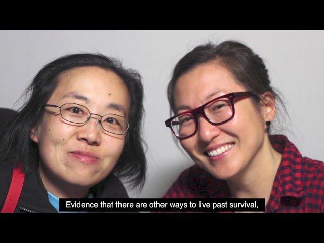 Disability Visibility Project Montage